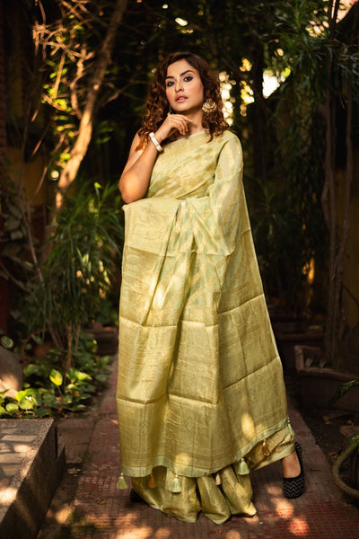 JHILMIL SITARA(ORGANZA SAREE)