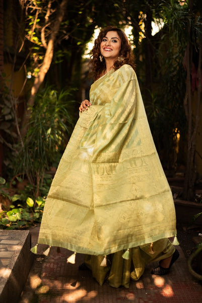 JHILMIL SITARA(ORGANZA SAREE)