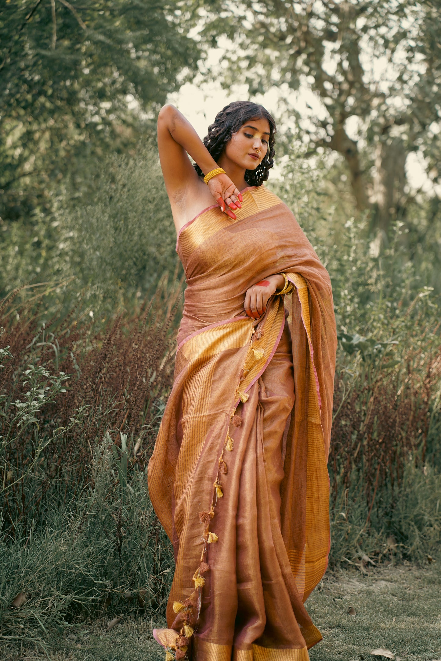 Rudraksh Brown Tissue Linen Saree by Apaapi for festive wear