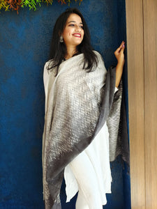 CHAMAN(HANDLOOM COTTON STOLE)