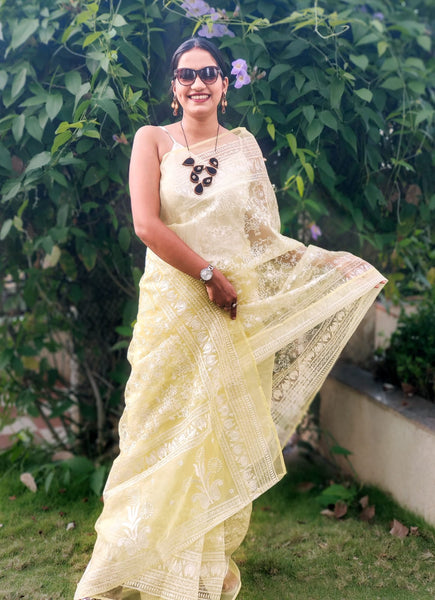 SOCIAL BUTTERFLY(ORGANZA SAREE)