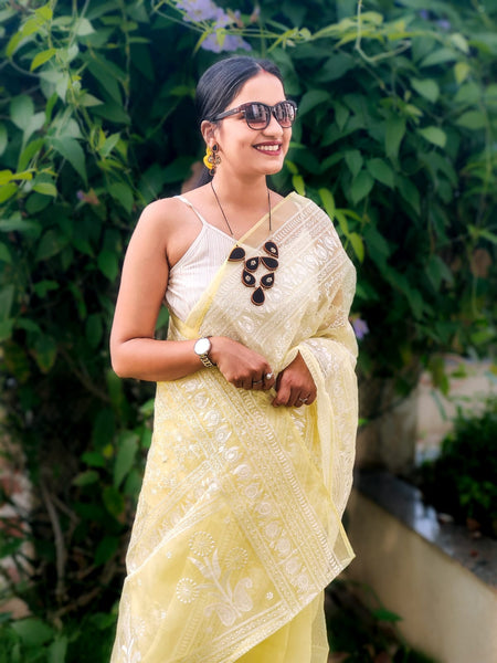 SOCIAL BUTTERFLY(ORGANZA SAREE)